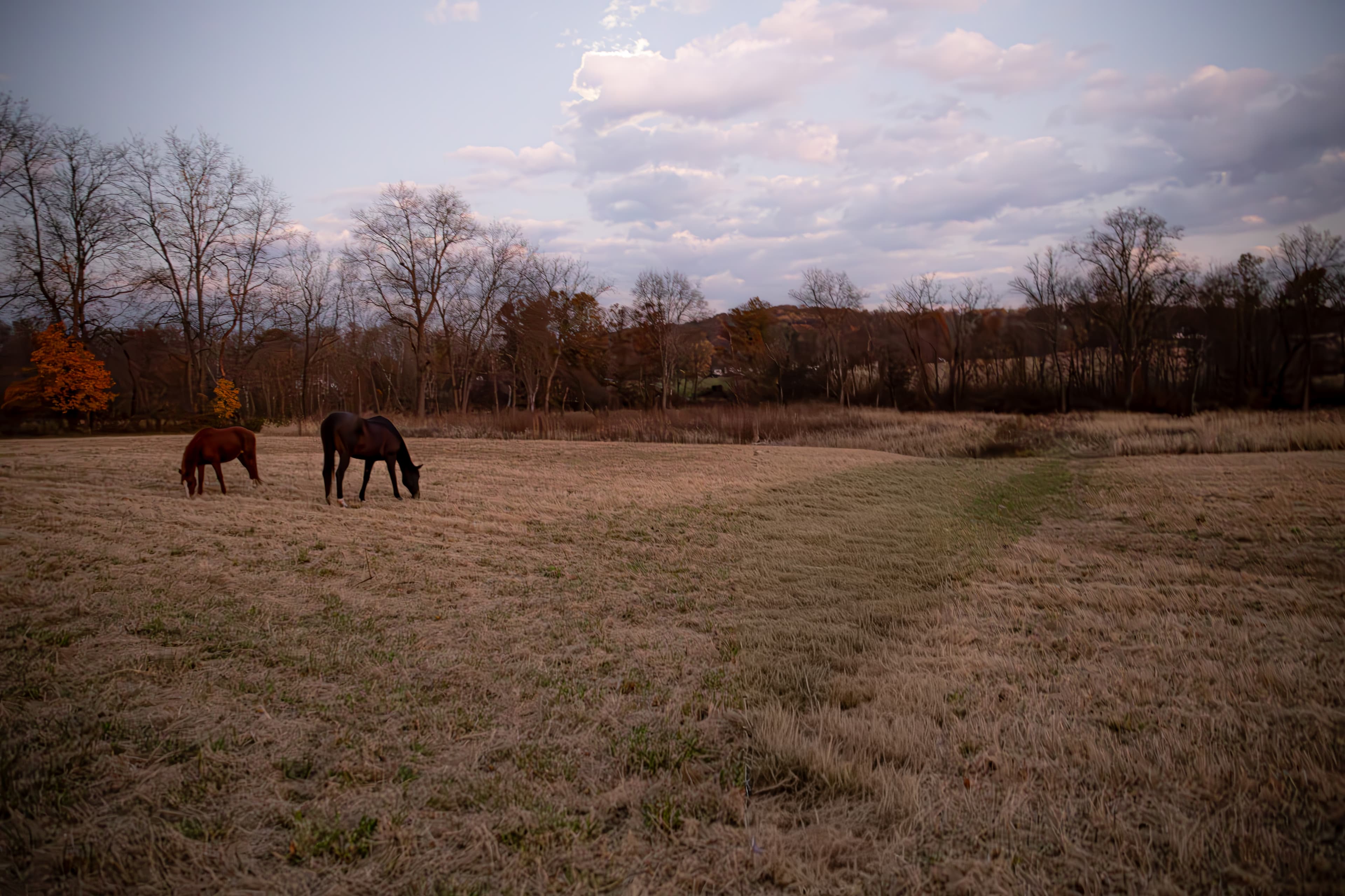 Retreat Setting